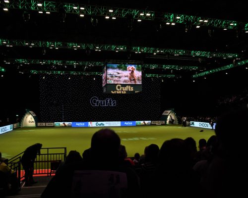 NEC Crufts Main Arena (3)